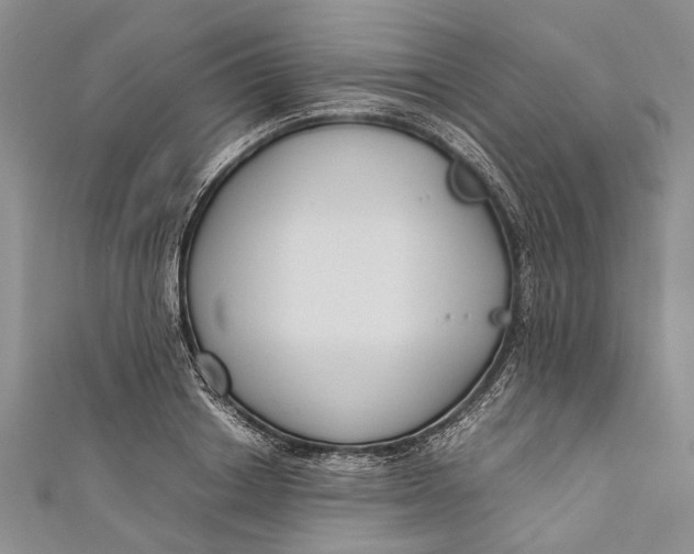 X0000110950842200907101305