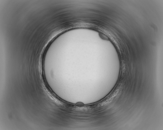 X0000110950843200907101305