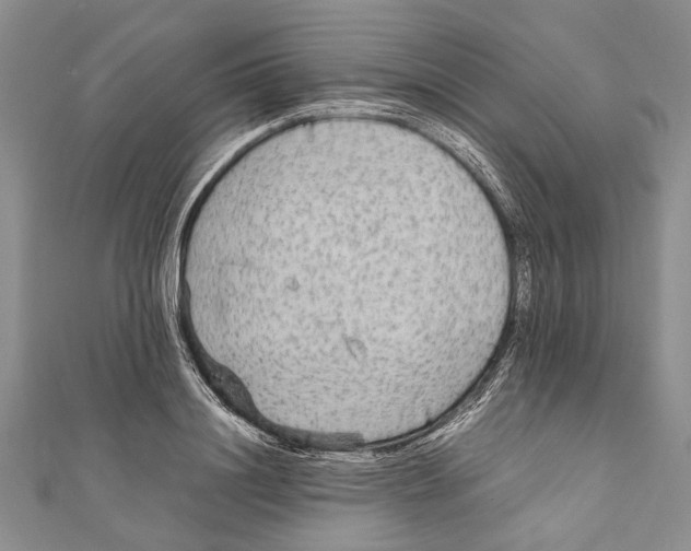 X0000110950844200907101305