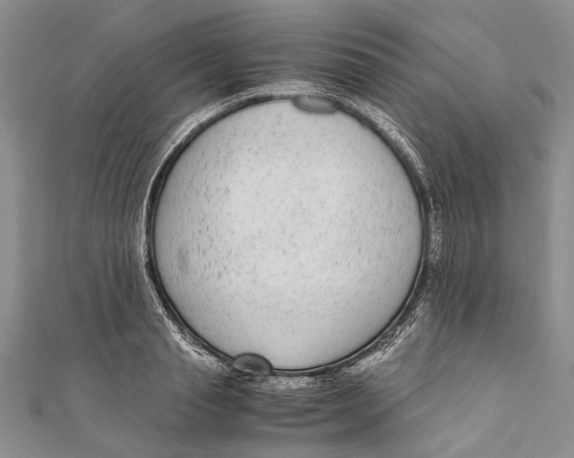 X0000110950845200907101306