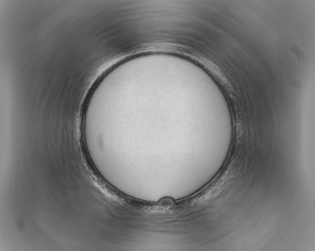 X0000110950846200907101306