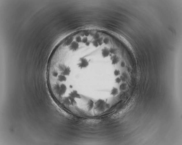 X0000110950847200907101306