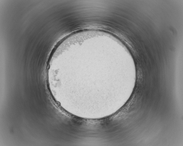 X0000110950848200907101306