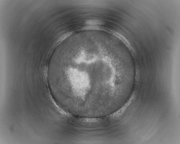 X0000110950849200907101306