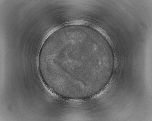 X0000110950850200907101306