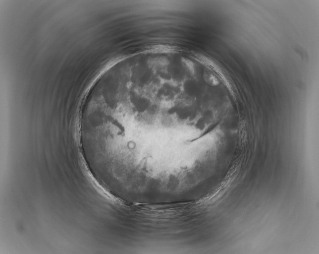 X0000110950851200907101306