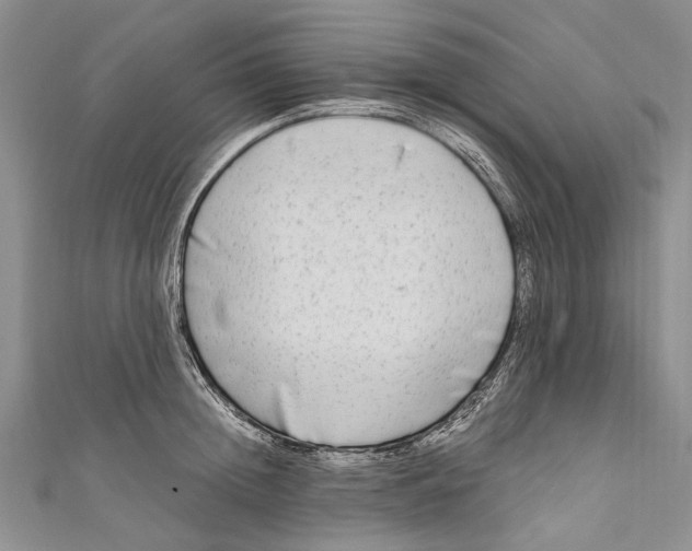 X0000110950852200907101306