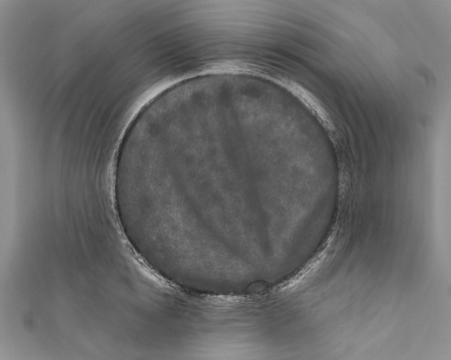 X0000110950854200907101306