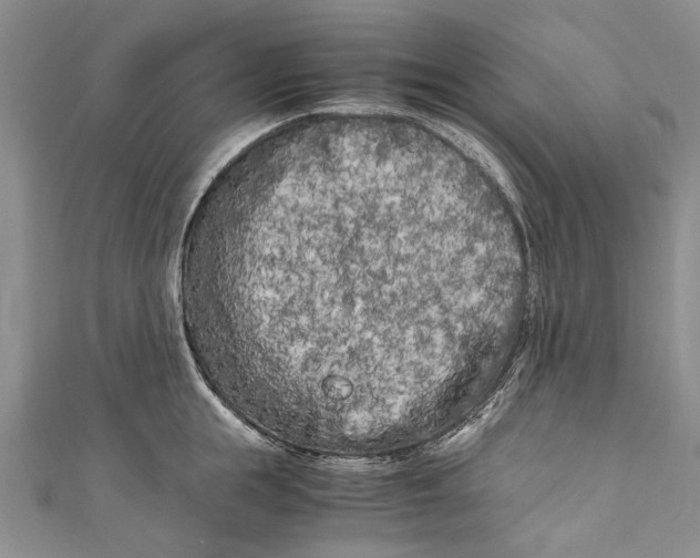 X0000110950855200907101306