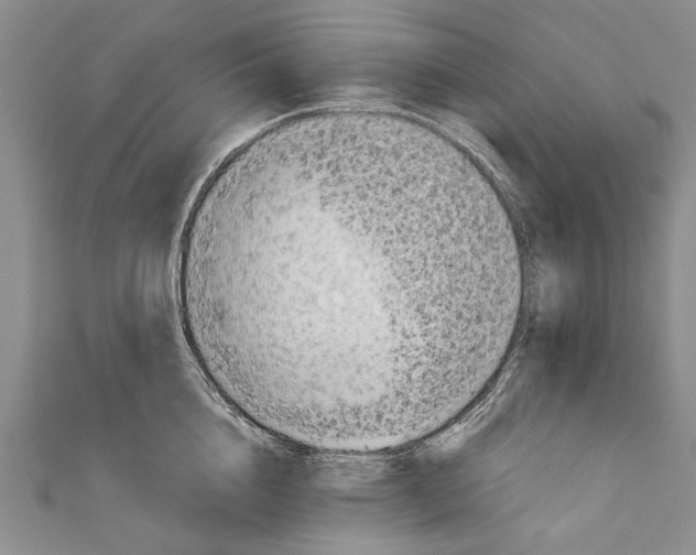 X0000110950856200907101306