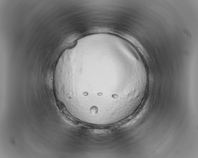 X0000110950857200907101306