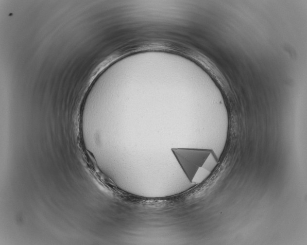 X0000110950858200907101306