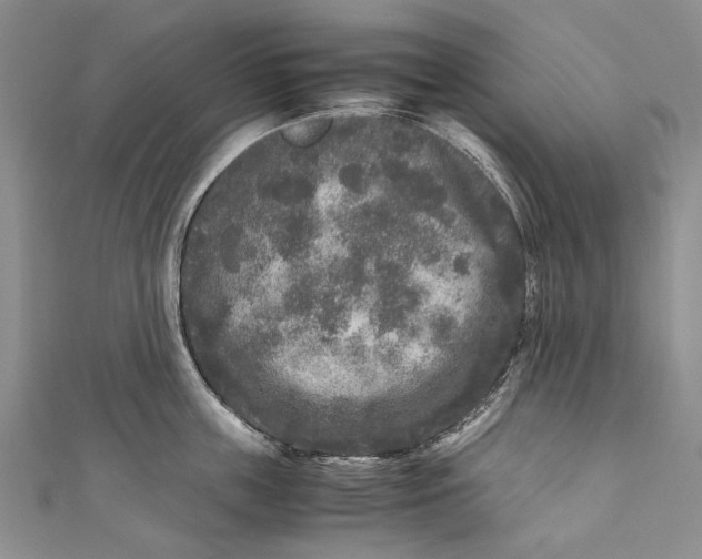 X0000110950859200907101306