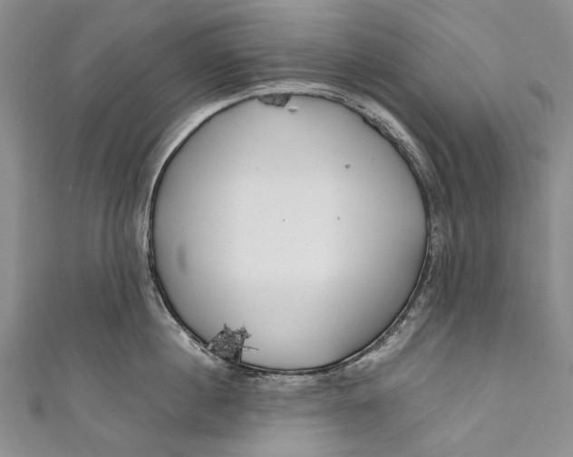 X0000110950860200907101306