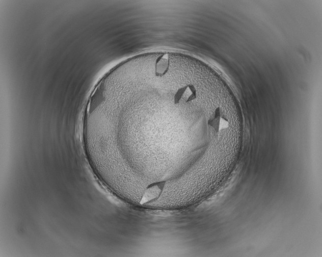 X0000110950862200907101306