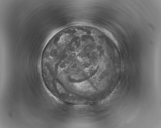 X0000110950863200907101306