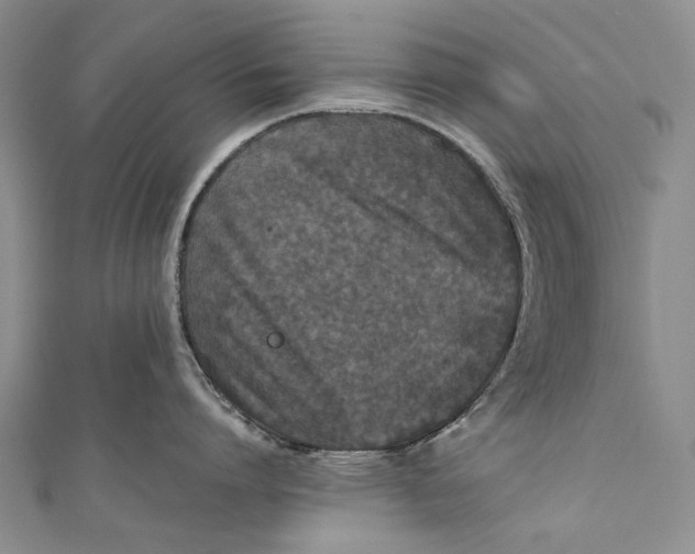 X0000110950864200907101306