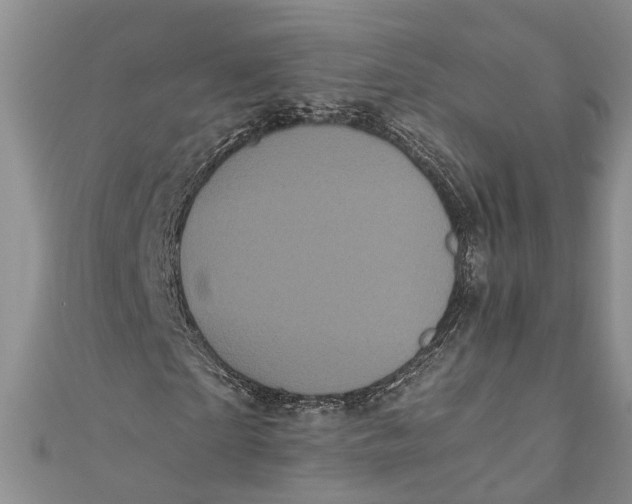 X0000110950865200907101305