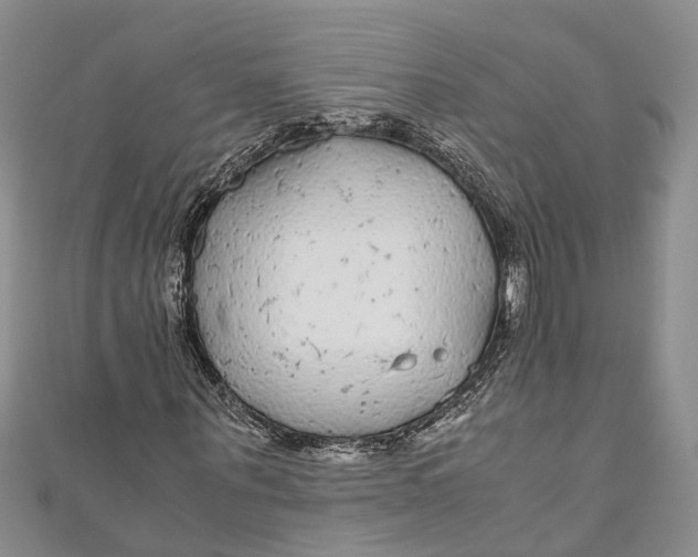 X0000110950867200907101305