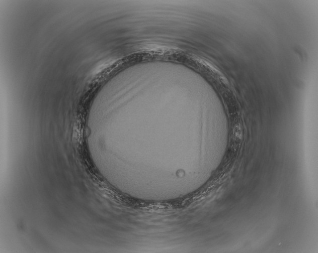 X0000110950869200907101305