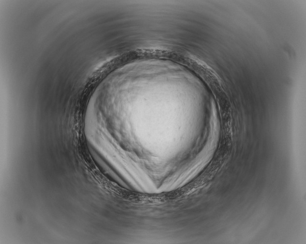 X0000110950870200907101305