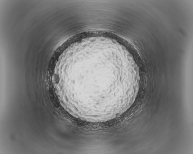 X0000110950871200907101305