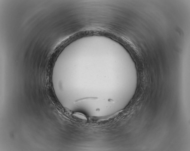 X0000110950872200907101305