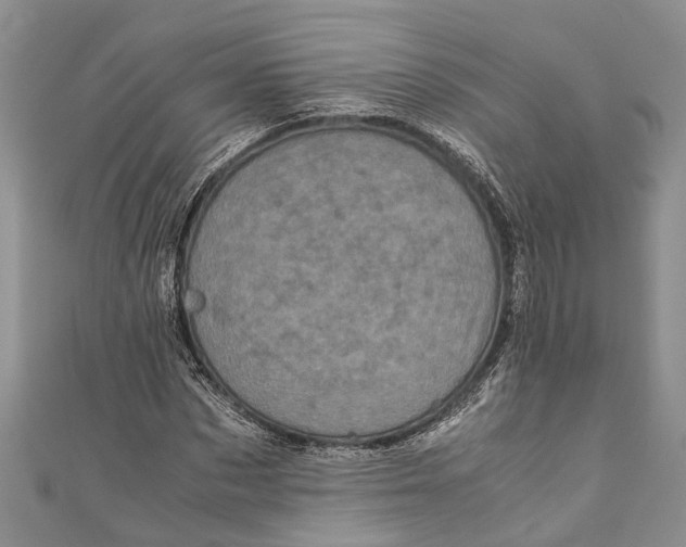 X0000110950873200907101305