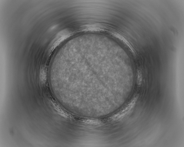 X0000110950874200907101305