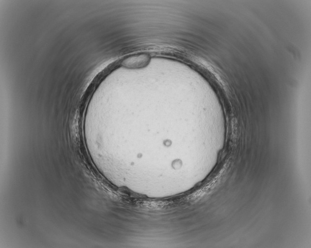 X0000110950875200907101305