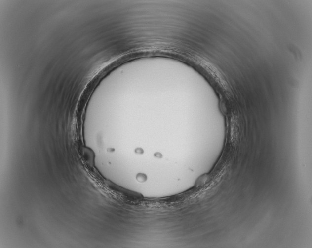 X0000110950876200907101305