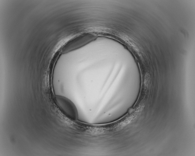 X0000110950877200907101305