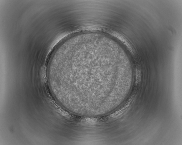 X0000110950878200907101305