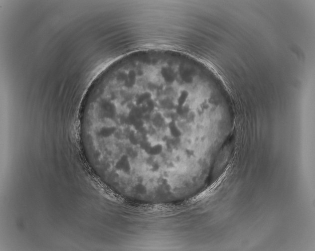 X0000110950879200907101305