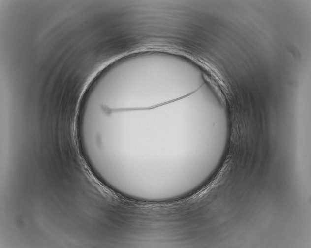 X0000110950880200907101305