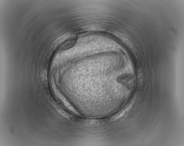 X0000110950881200907101305