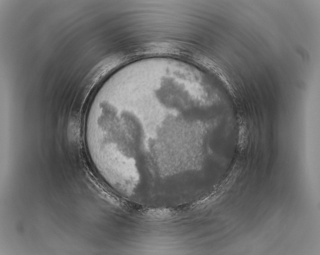 X0000110950882200907101305