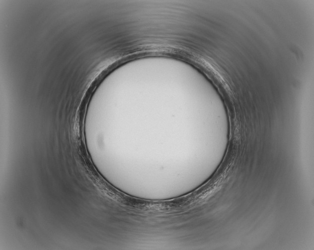 X0000110950883200907101305