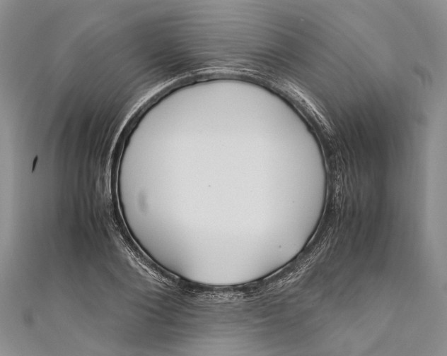 X0000110950884200907101305