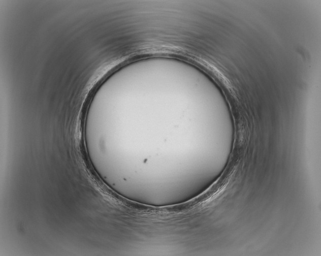 X0000110950885200907101305