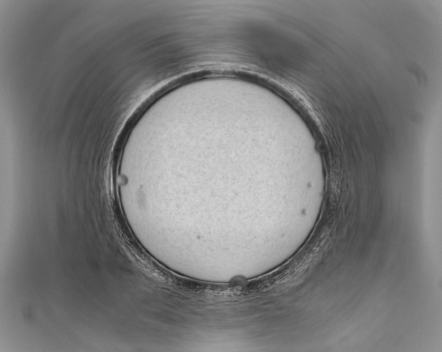 X0000110950887200907101305