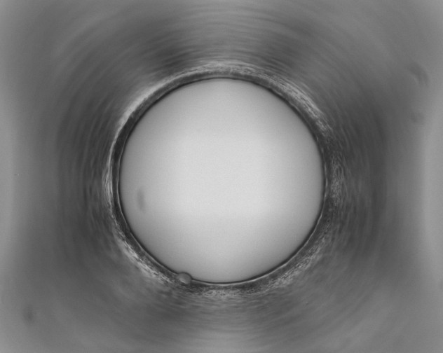 X0000110950888200907101305