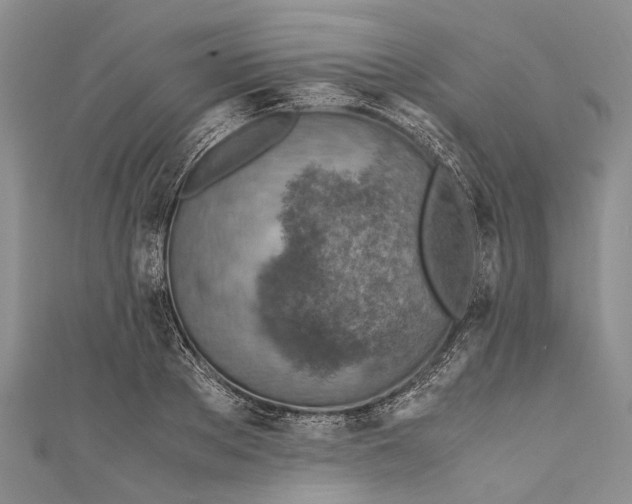 X0000110950889200907101305