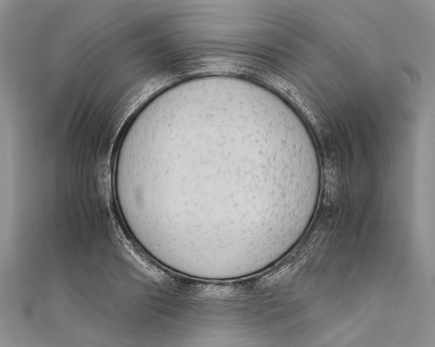 X0000110950890200907101305