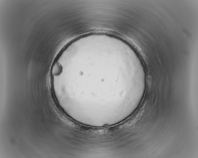 X0000110950891200907101305