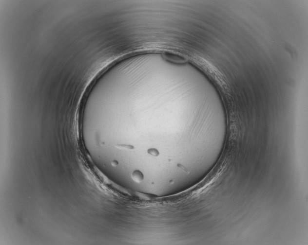 X0000110950892200907101305