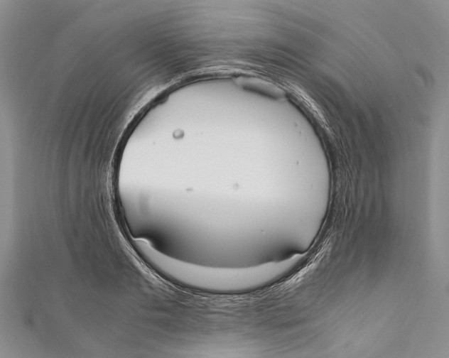 X0000110950893200907101305