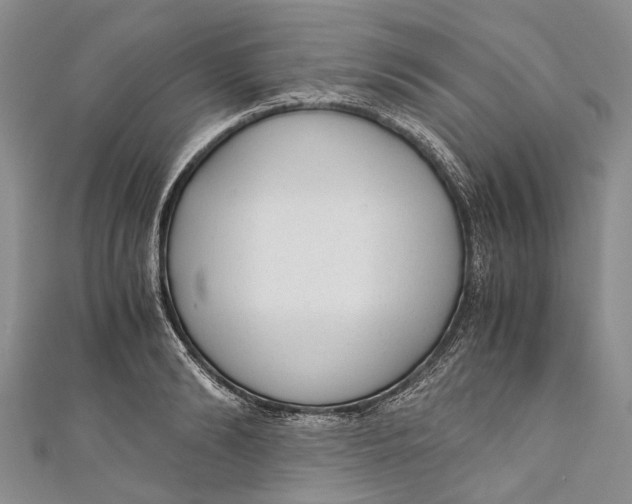 X0000110950894200907101305