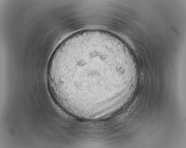 X0000110950895200907101305