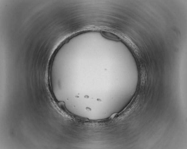 X0000110950896200907101305